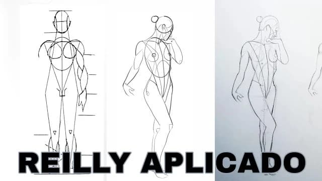 Cómo aplicar el método Reilly en la figura humana